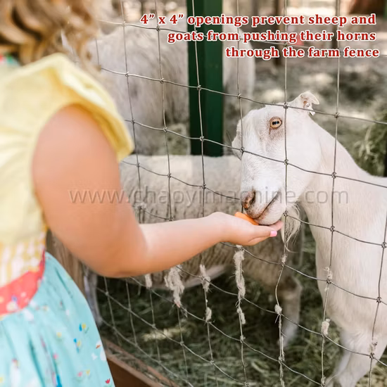 PC Wire Vertical Take